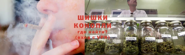 ECSTASY Богородск